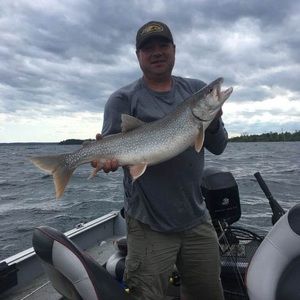 Meet your Posher, Clarence